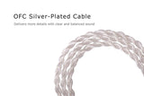 basn silver-plated mmcx headphone earphone detachable replaceable cable basn in ear monitor headphone for musician singer drummer shure iem westone earphone KZ in ear sennheiser custom in ear factory and manufacturer OEM ODM supplier and agent